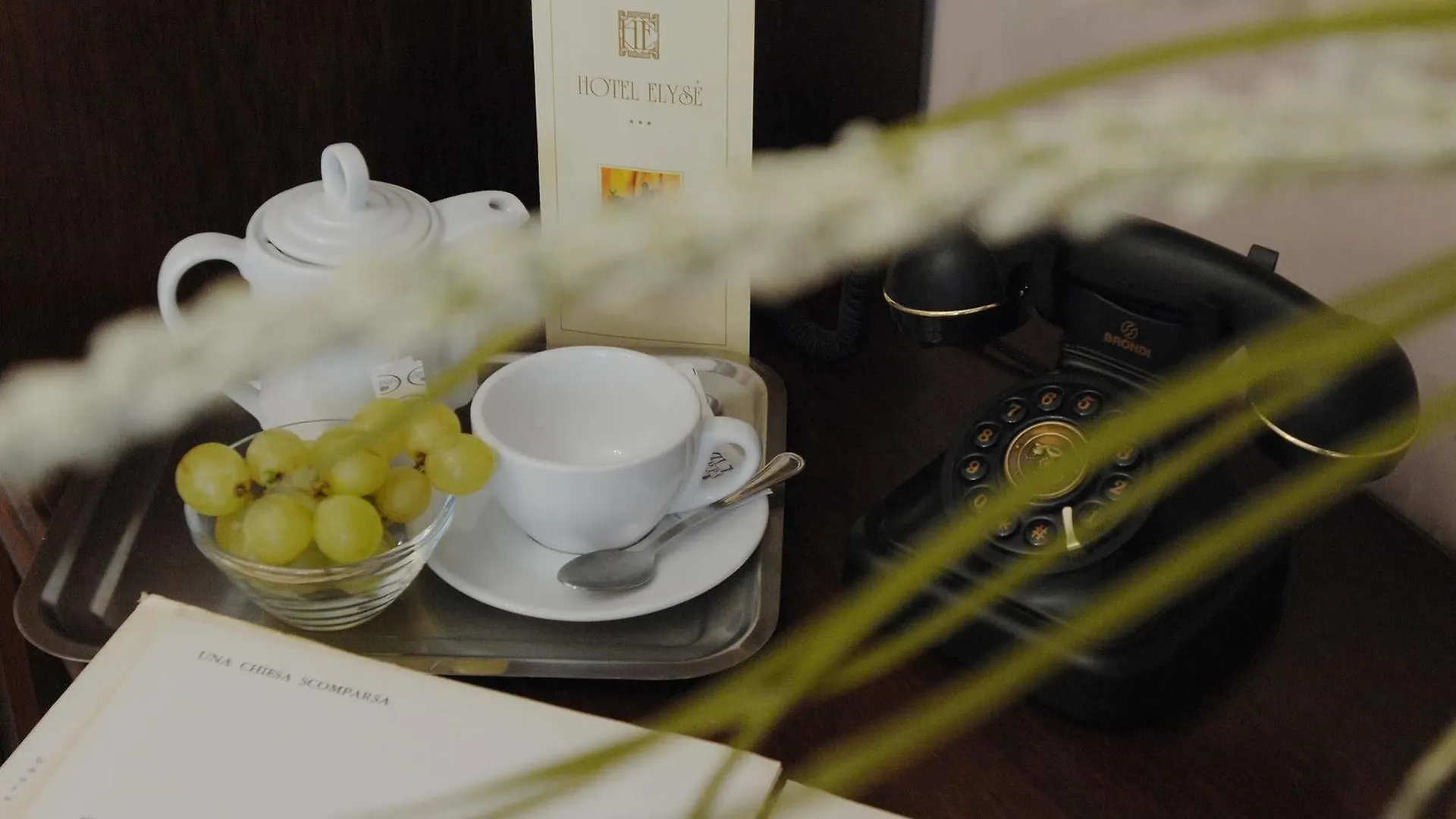 Hotel Elyse' Roma